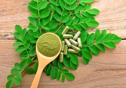 Moringa Oil for skin on satliva.com