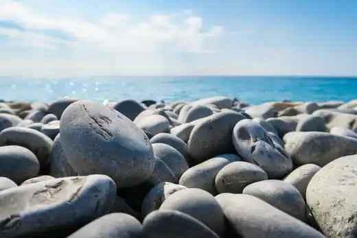 Testing Alt