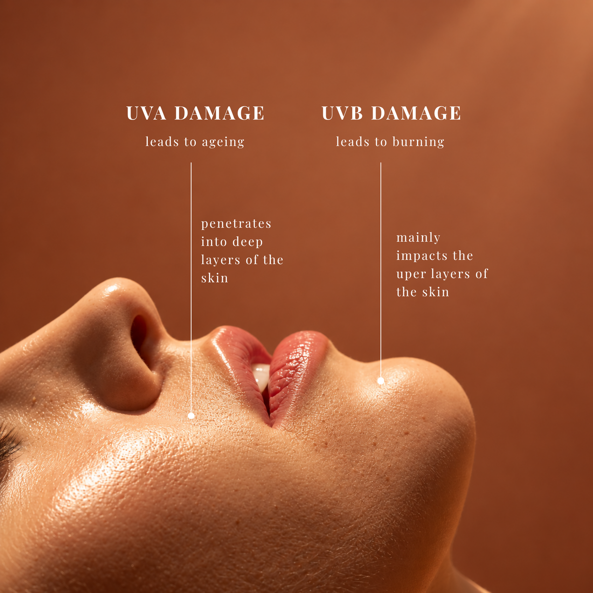 SunKissed Defense Face Cream