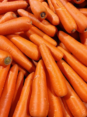 Carrot seed Oil