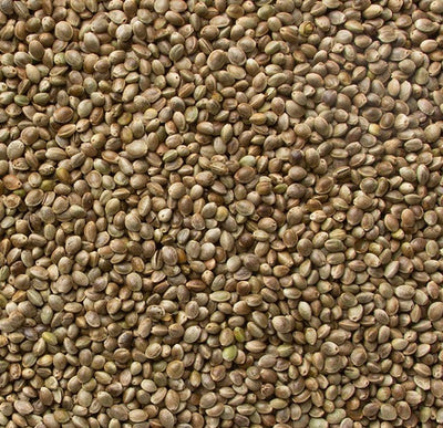 Hemp Seed Oil