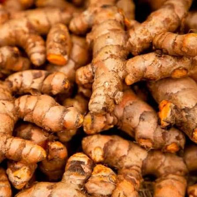 Turmeric Root Oil